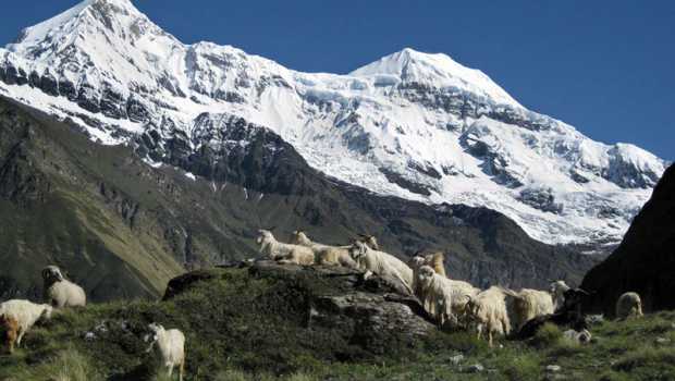 विहंगम हिमालय