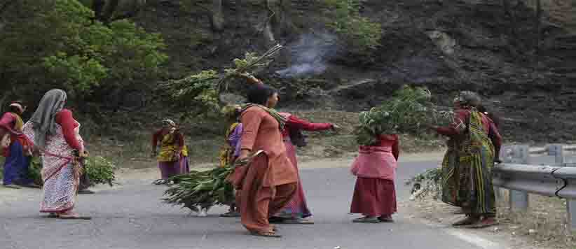 उत्तराखंड में दस हेक्टेयर क्षेत्र में होंगे पेड़, तो भी नहीं माना जाएगा जंगल