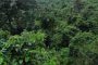 वन संरक्षण अधिनियम संशोधन पर उठ रहे विवाद