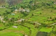घटती खेती, बढ़ती किसानी- उत्तराखंड की गजब कहानी