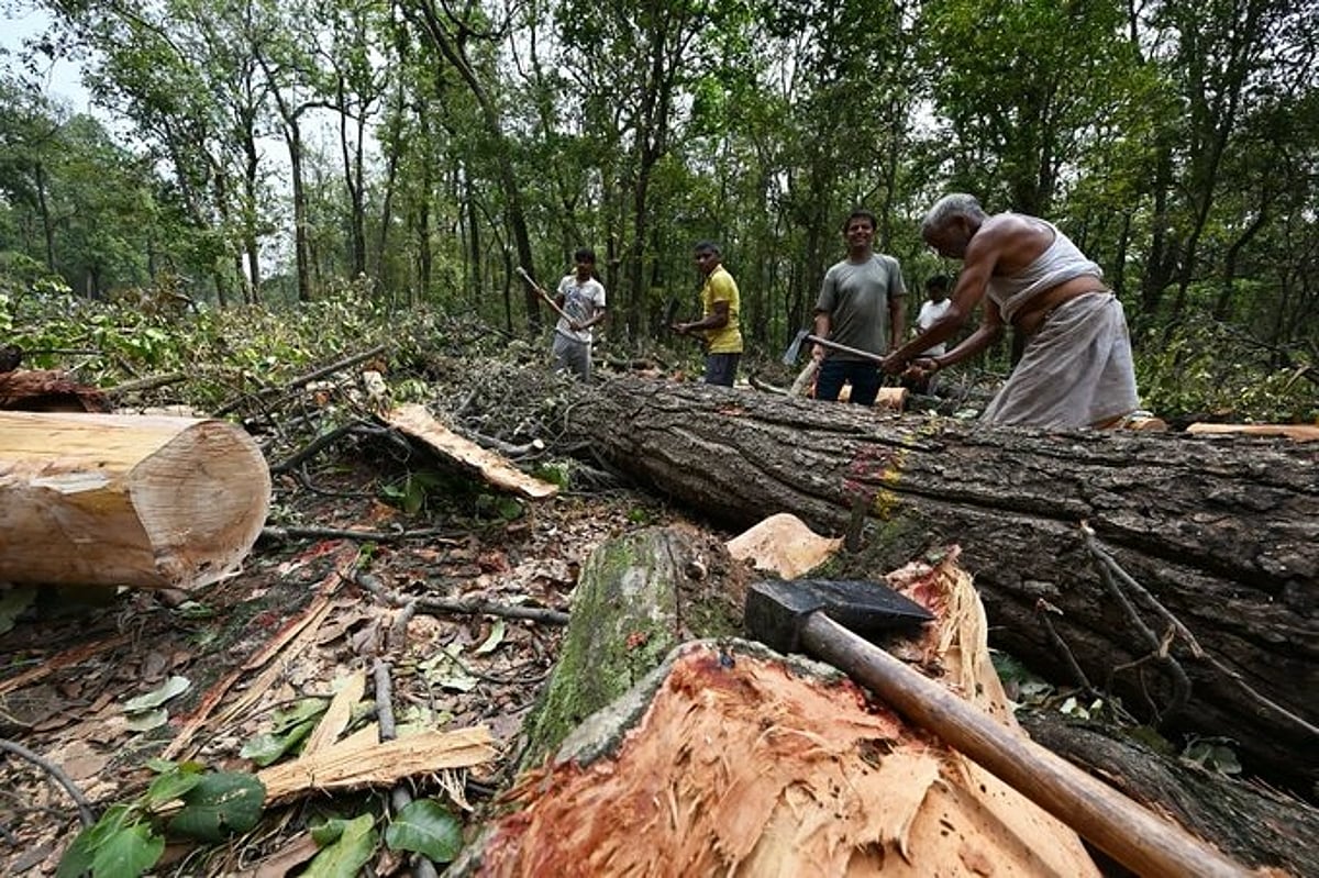 किस ​गलत दिशा में जा रहा है उत्तराखण्ड