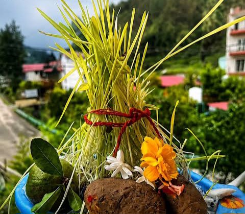 सरकार के स्तर पर तो पाखंड है हरेला